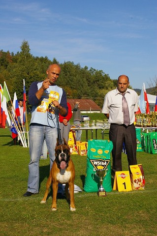 www.boxer-show.eu